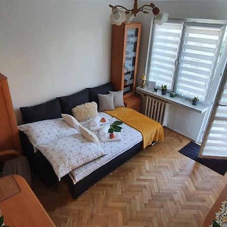 Apartament Park Saski II サンドミエシュ エクステリア 写真
