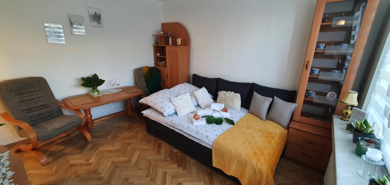 Apartament Park Saski II サンドミエシュ エクステリア 写真
