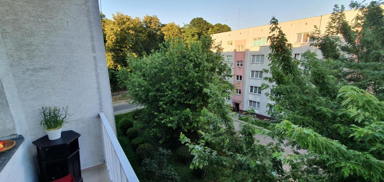 Apartament Park Saski II サンドミエシュ エクステリア 写真
