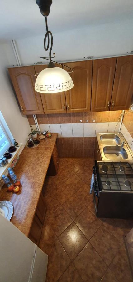 Apartament Park Saski II サンドミエシュ エクステリア 写真